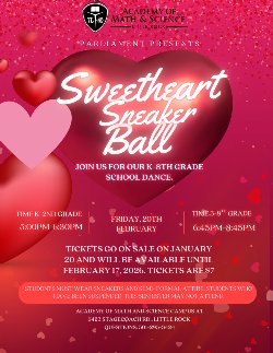 AMSLR Sweetheart Sneaker Ball